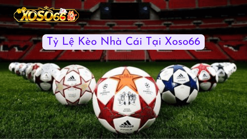 Lựa chọn tốt nhất: Xoso66 có phải là lựa chọn tối ưu?