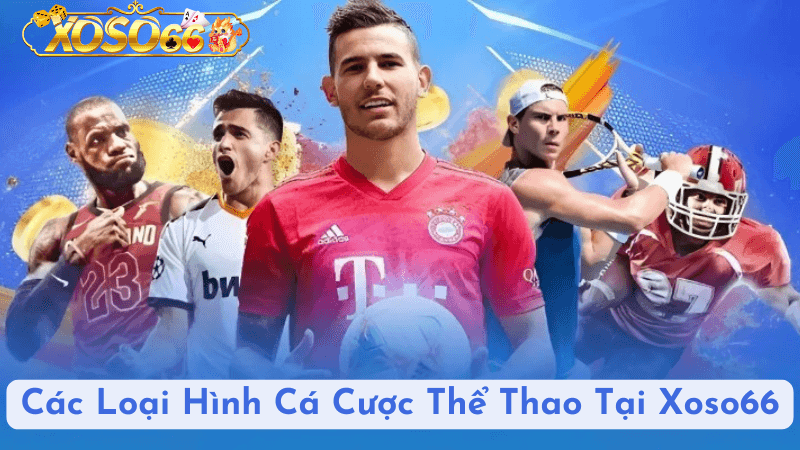 Các Loại Hình Cá Cược Thể Thao Tại Xoso66